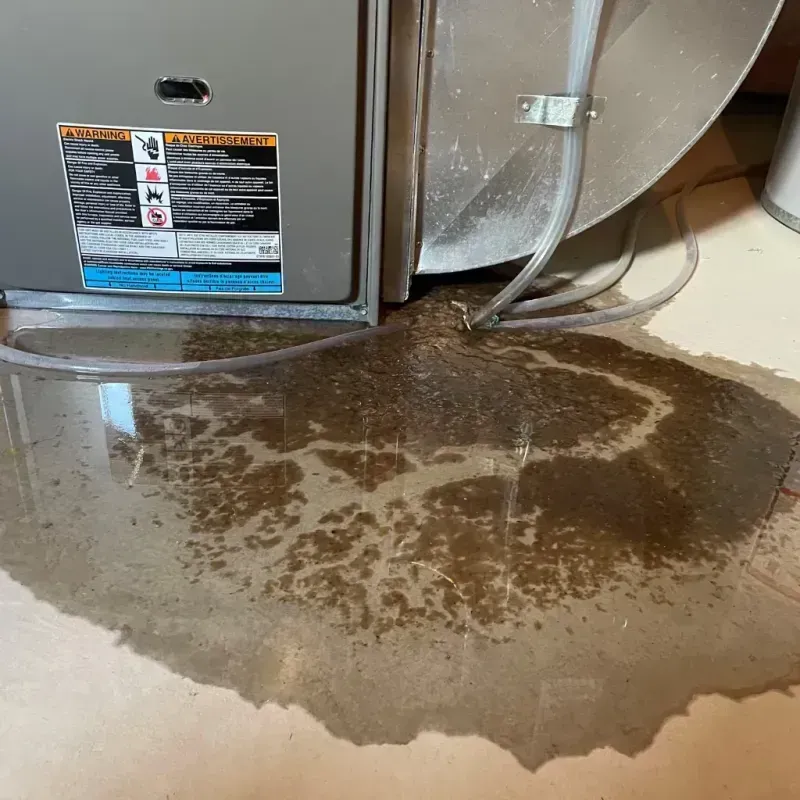 Appliance Leak Cleanup in Albion, PA